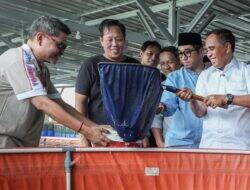 ‎Anwar Hafid Perluas Program Berani  Budidaya Ikan Jadi Andalan Ekonomi Baru