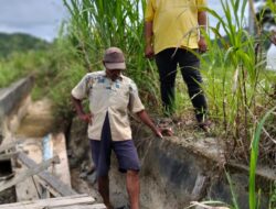 Proyek BWS III Sulteng diduga tak tepat Sasaran, 300 ha sawah di Dua Desa  Tolitoli Utara Tak Dapat Di Olah