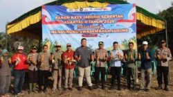 Polres Buol Gelar Panen Raya Jagung, Dukung Ketahanan Pangan Nasional