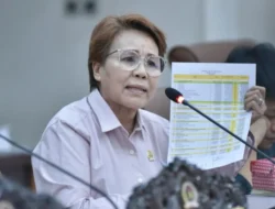 Rustia Tompo Anggota DPRD kota Palu, menyoroti Minimnya PJU di Persimpangan dan Lorong